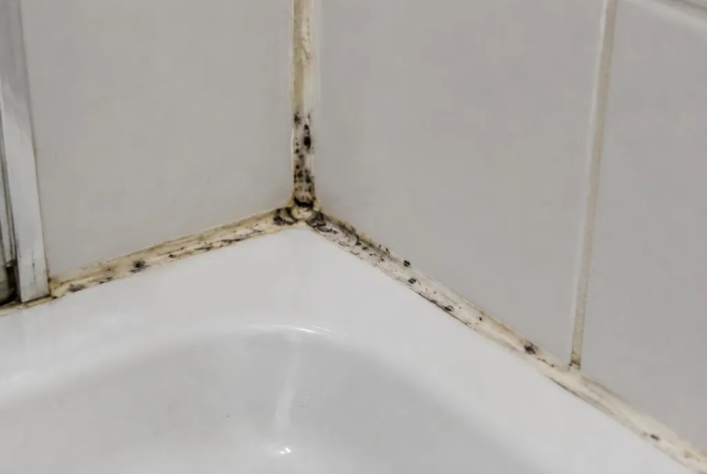 Kitbedrijf Hengelo – beschimmelde kitranden